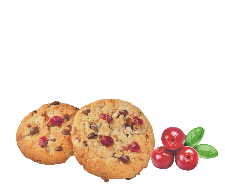 Choco Fit – Kruche ciasteczka z płatkami owsianymi, kukurydzianymi, czekoladą i żurawiną